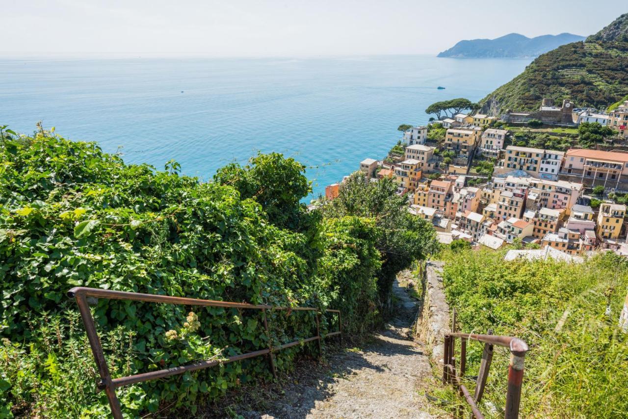 Riomaggiore Panoramic Apartment With Terrace! X6 Εξωτερικό φωτογραφία